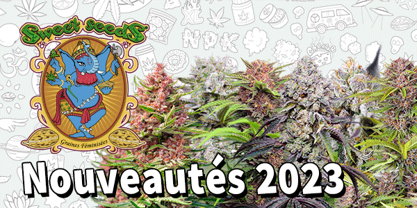 Sweet Seeds