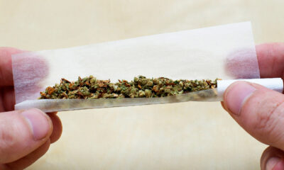 Le mythe de l'escalade du cannabis vers les drogues dures