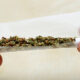 Le mythe de l'escalade du cannabis vers les drogues dures