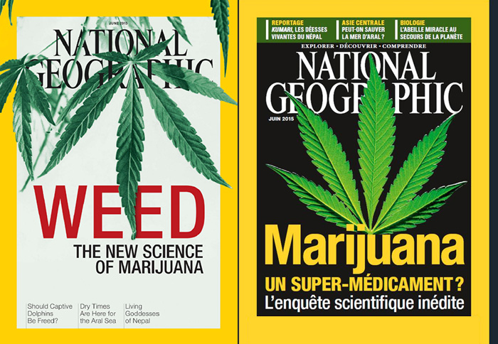 National Geographic juin 2015 sur la marijuana