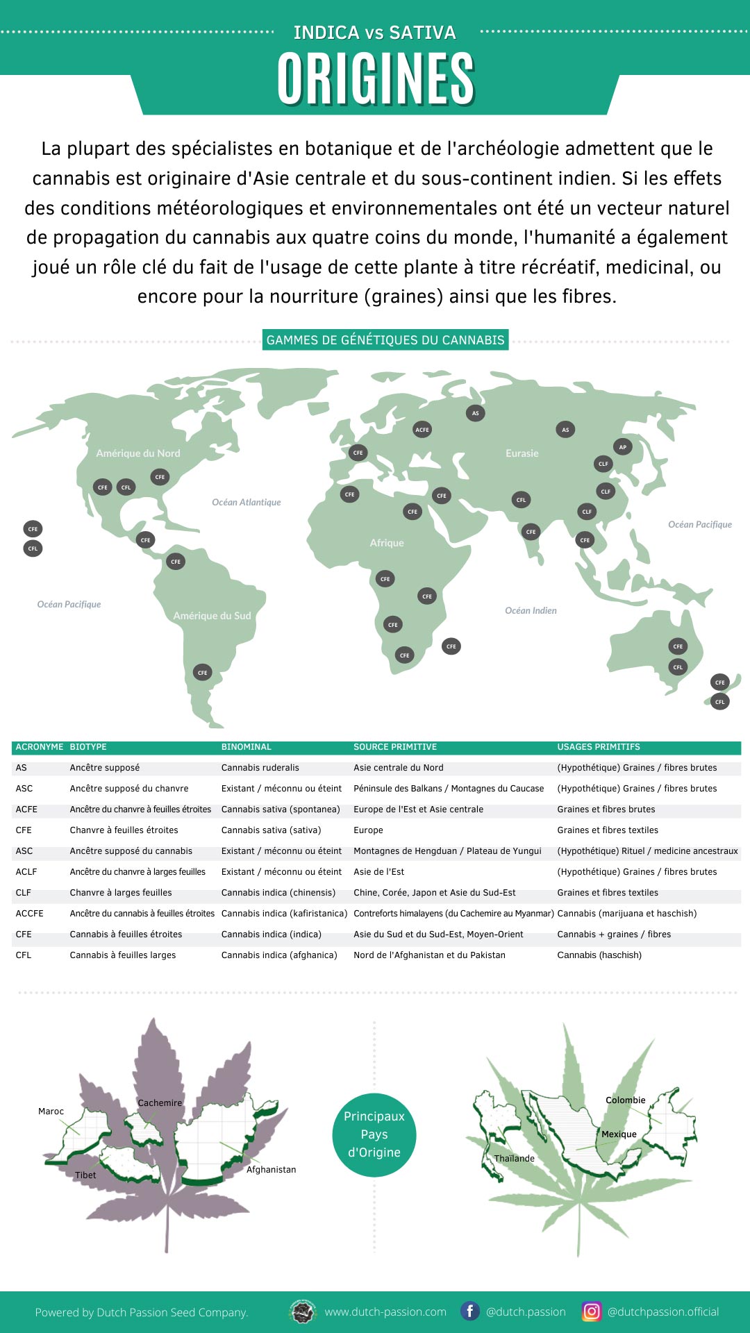 Origines indica et sativa