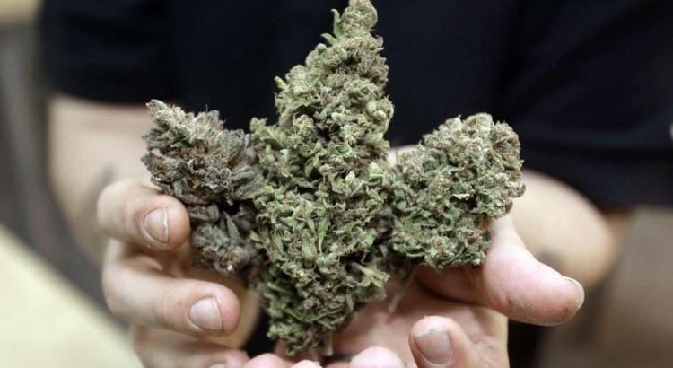 Augmentation de la consommation de cannabis aux Etats-Unis