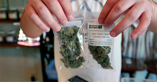 Cannabis récréatif en Oregon