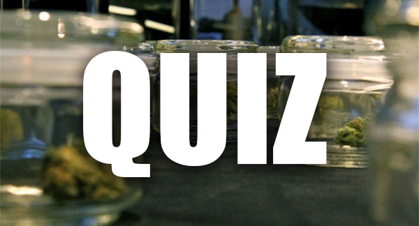 Quiz cannabis