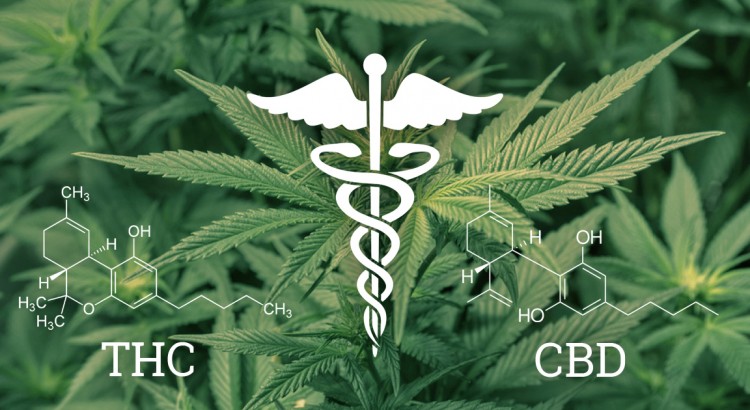 Différences entre THC et CBD