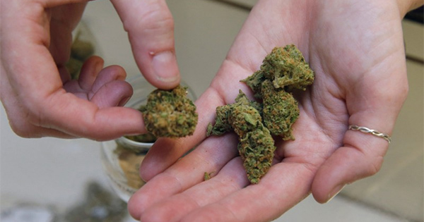Légalisation du cannabis en Alaska