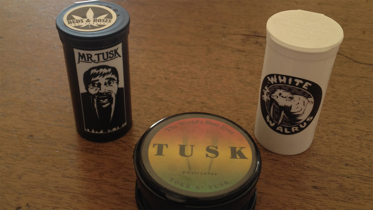 Variété Mr Tusk et White Walrus