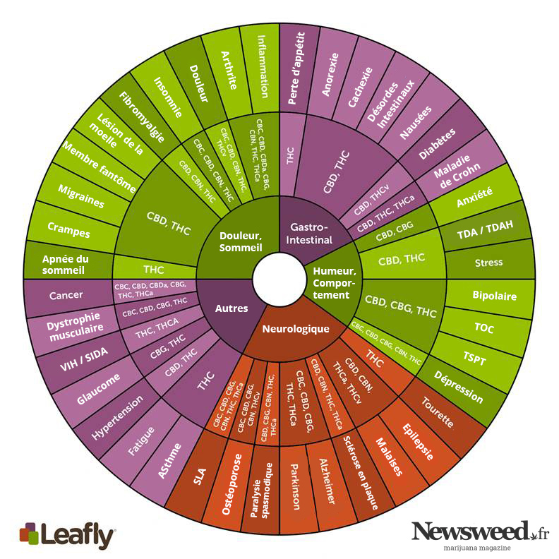 Effets thérapeutiques du THC et CBD