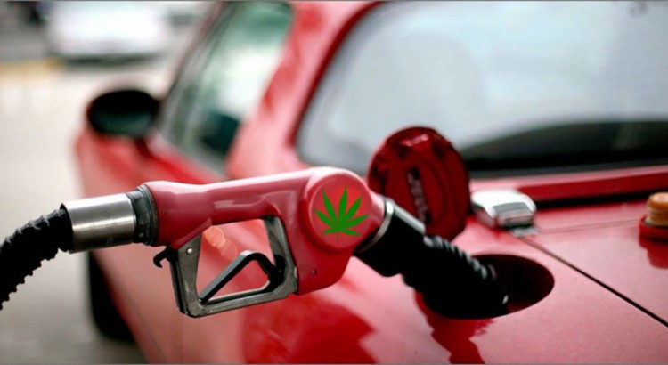 Station service au cannabis