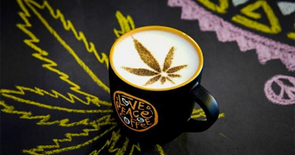 café infusé au cannabis