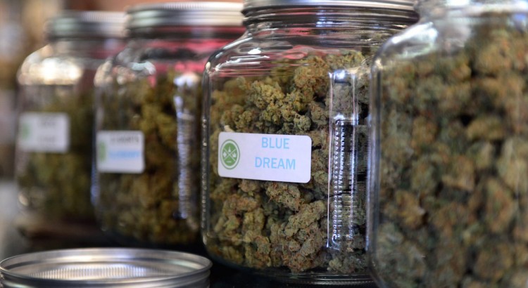 Travailler dans le monde du cannabis