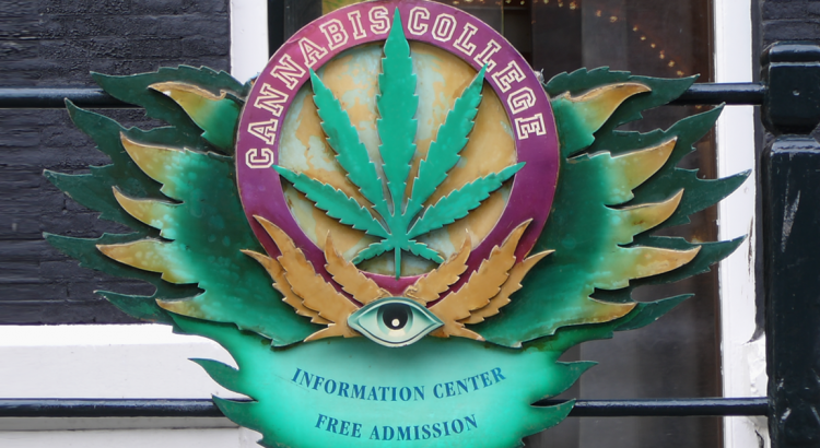 Le Cannabis College d'Amsterdam