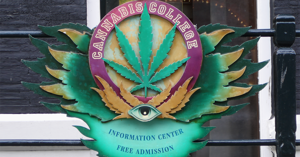 Le Cannabis College d'Amsterdam