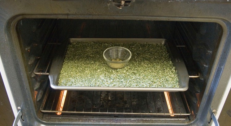 La décarboxylation