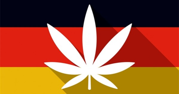Légalisation du cannabis médical en Allemagne