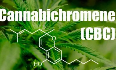 Cannabichromene