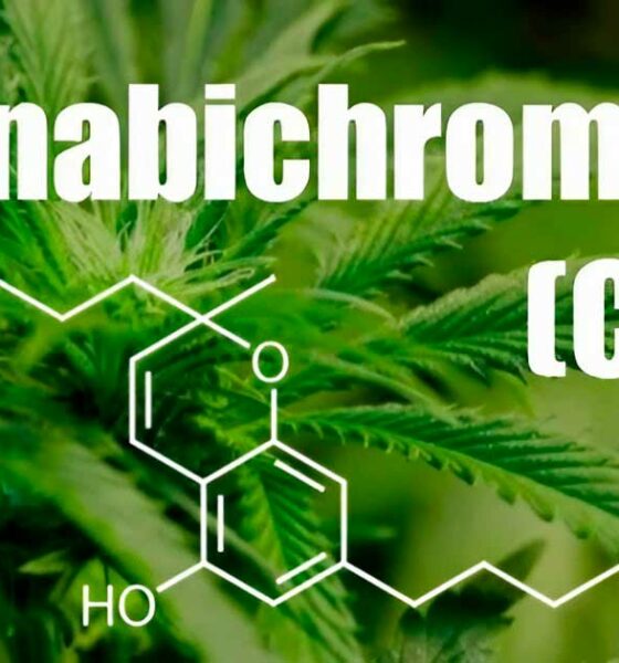 Le cannabichromène