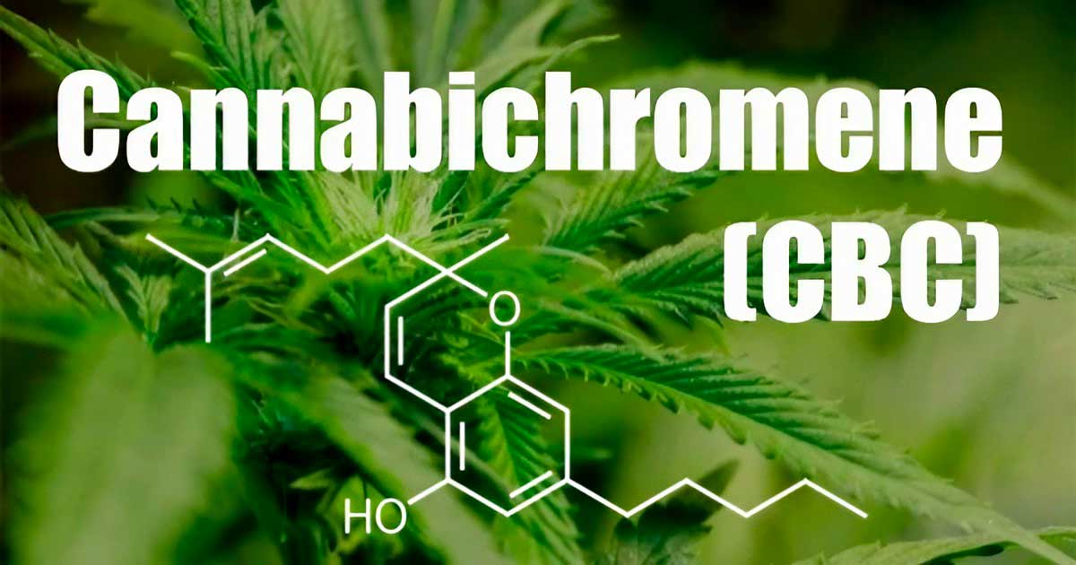 Le cannabichromène