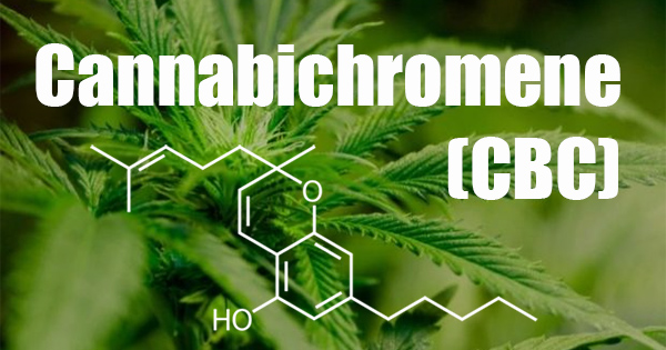 Le cannabichromene