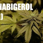 Cannabigerol