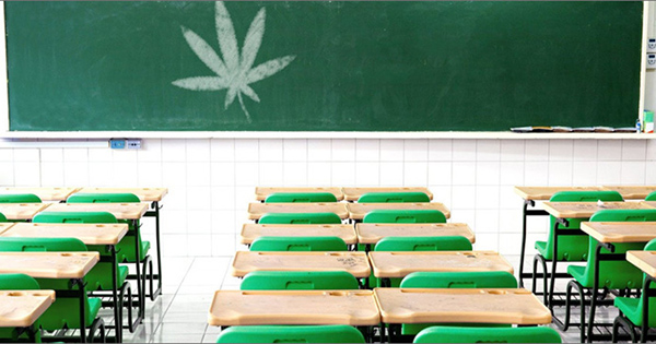 Du cannabis médical à l'école