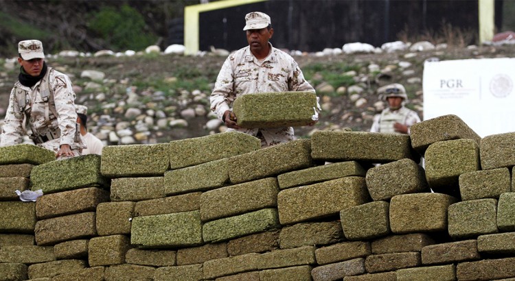 Production de cannabis au Mexique