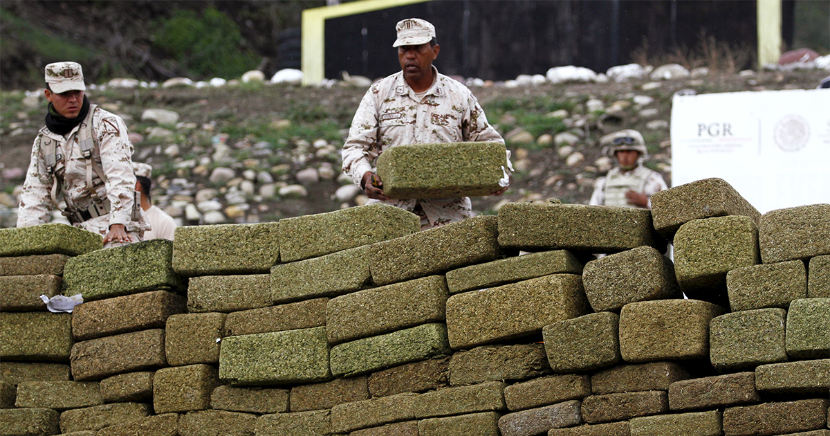 Production de cannabis au Mexique