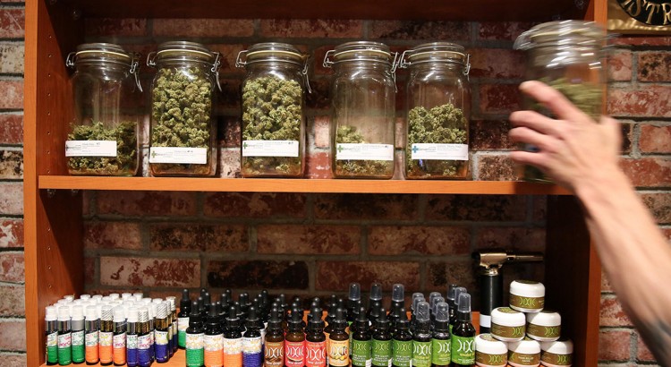Raisons de légaliser le cannabis en France