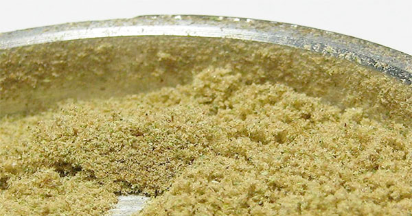 Kief