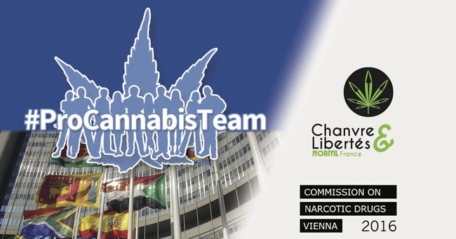 Procannabisteam