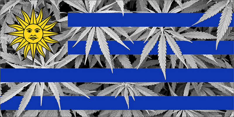 Cannabis en Uruguay