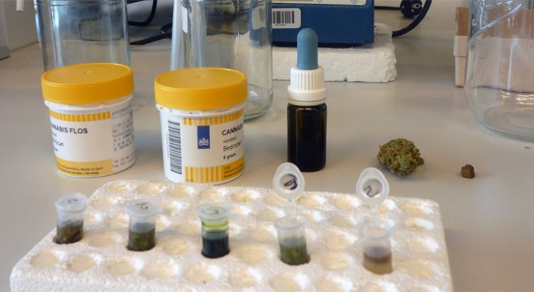 Alpha Cat, test de cannabis