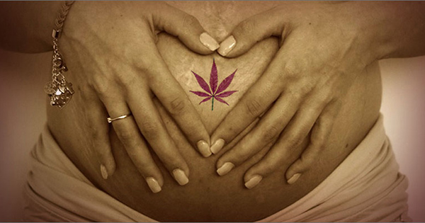 Cannabis pendant la grossesse