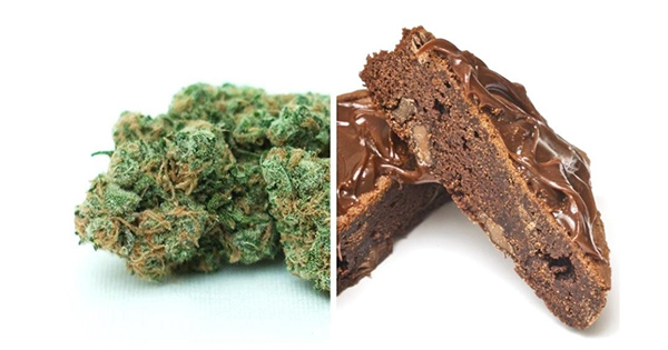 Les différences entre un joint et un space cake