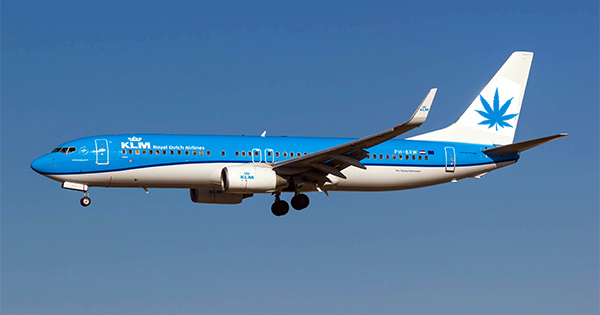 KLM et cannabis