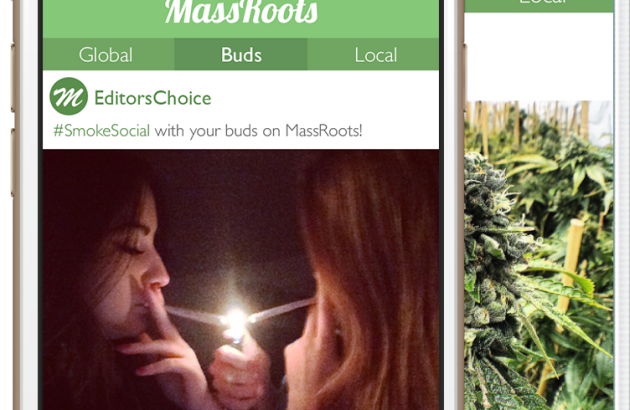 Massroots