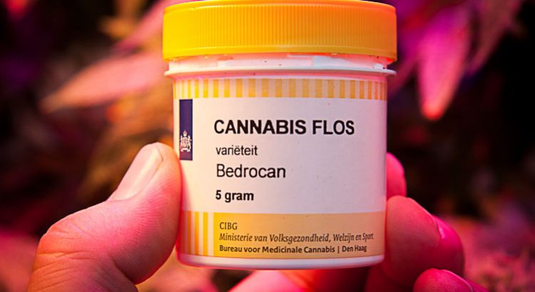Bedrocan