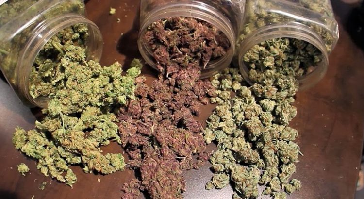 Cannabis clubs de Barcelone