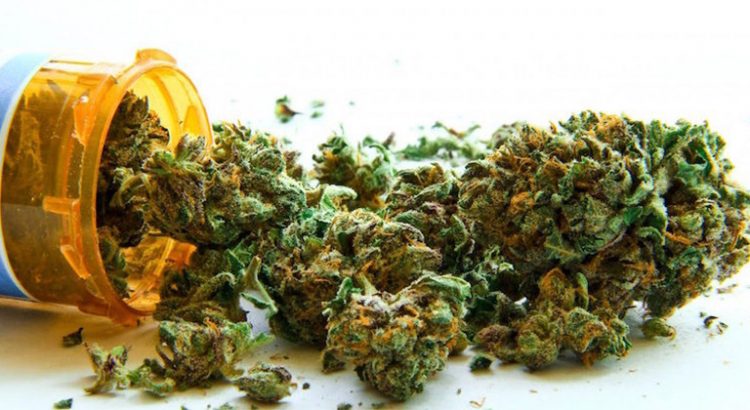 Découvertes sur le cannabis médical