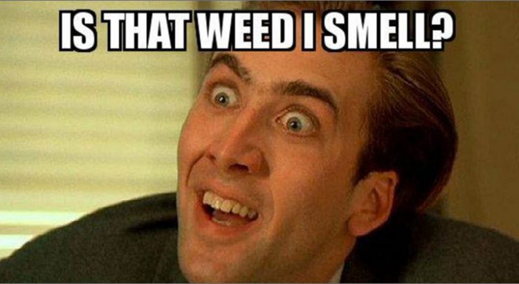 Odeur de weed à Denver