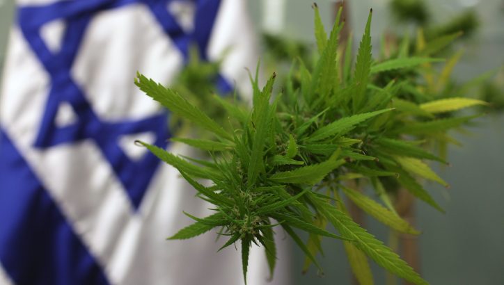 cannabis médical