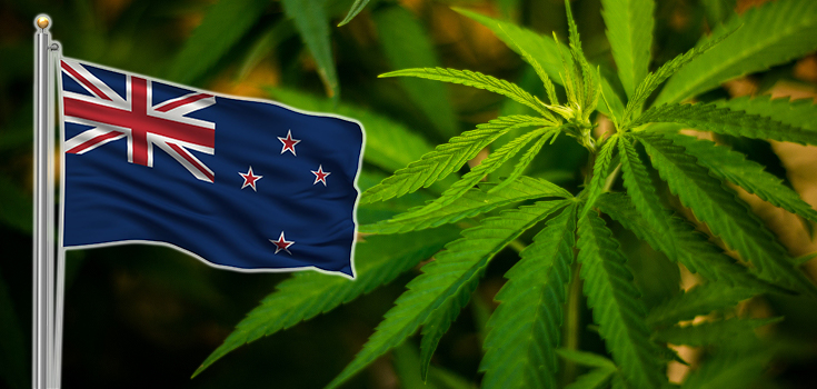 Cannabis en Nouvelle Zélande
