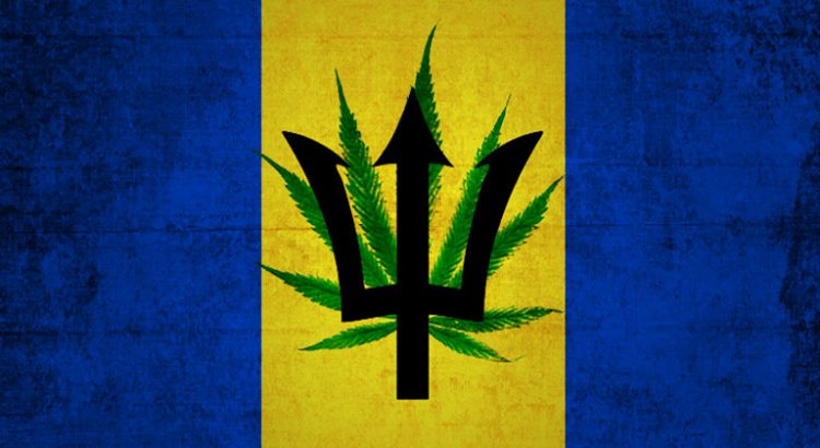 Dépénalisation du cannabis à la Barbade