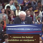 Bernie Sanders GIF