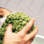Big Bud GIF