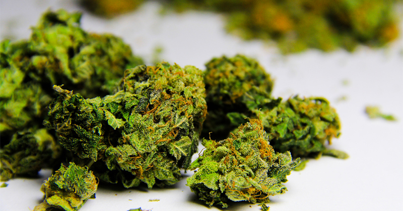 Consultation sur le cannabis en Caraïbe