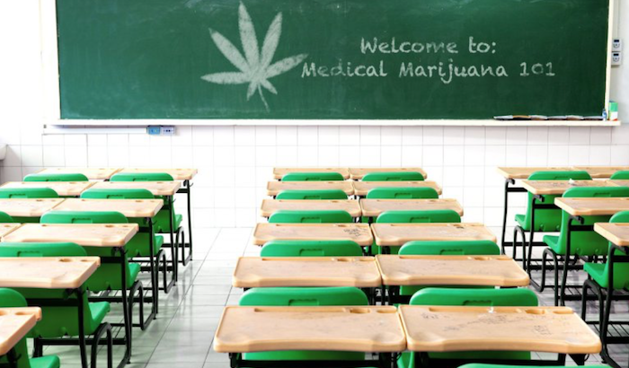 écoles cannabis