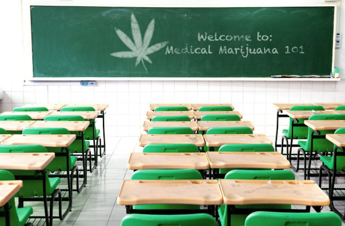 écoles cannabis