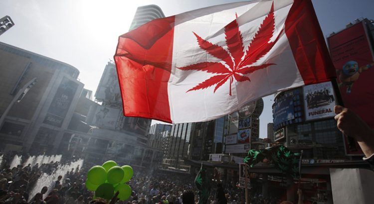 Processus de légalisation du cannabis au Canada