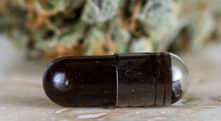 Capsule de CBD
